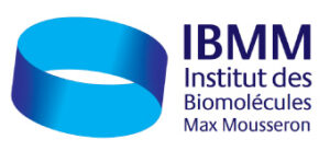 IBMM partenaire institut hospitalo universitaire IHU Immun4cure maladies auto-immunes