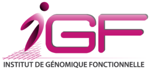 IGF partenaire institut hospitalo universitaire IHU Immun4cure maladies auto-immunes
