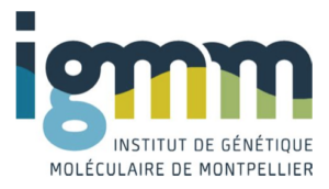 IGMM partenaire institut hospitalo universitaire IHU Immun4cure maladies auto-immunes